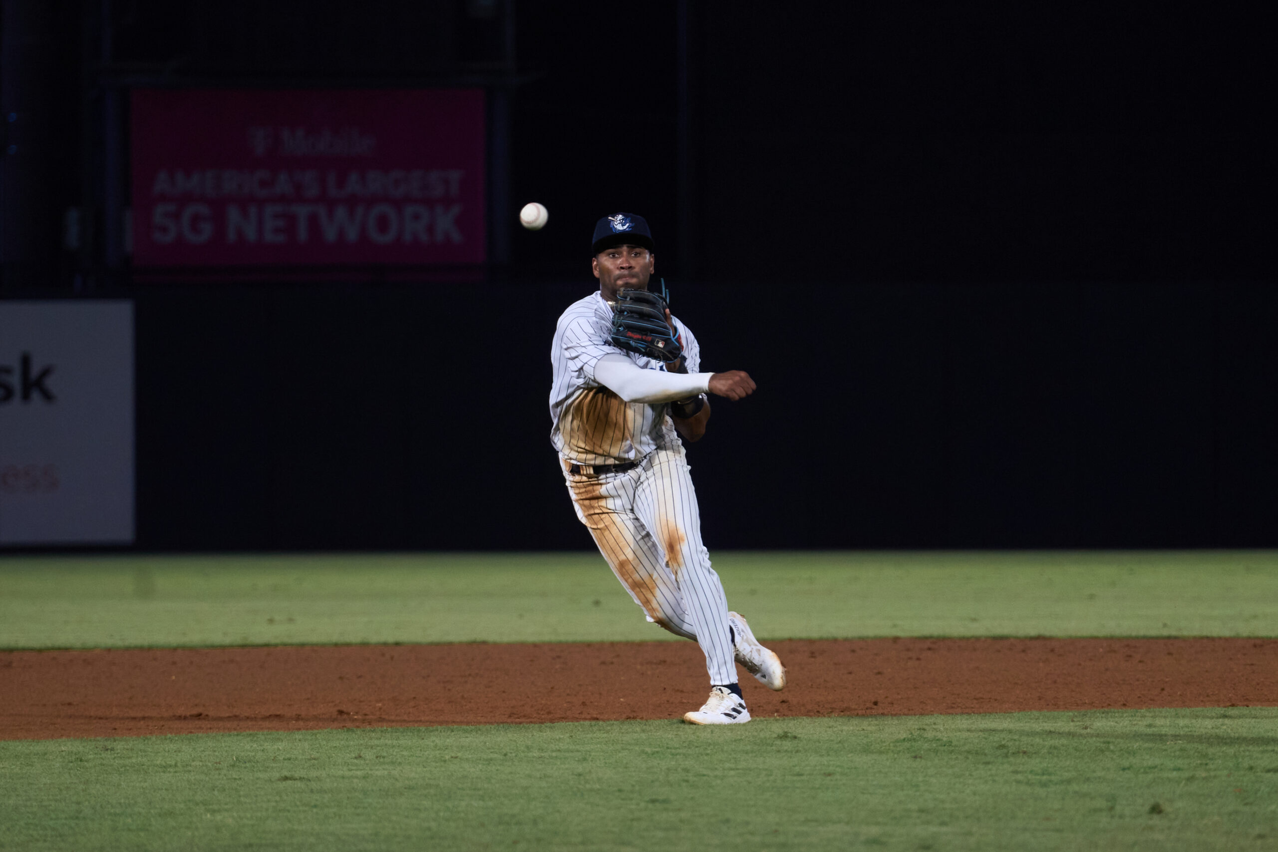 Late 2024 Yankees Top 30 Prospects